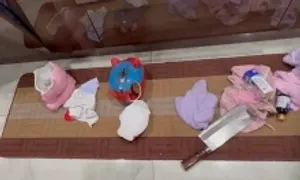 Đột nhập biệt thự ăn trộm hai con lợn đất